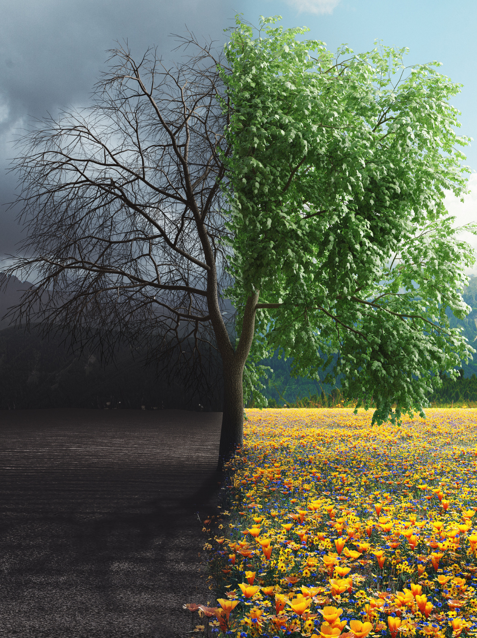 Boom met linkerhelft in dor landschap en rechterhelft in bloeiend veld – symbool voor mentale helderheid dankzij DHA en EPA - Cecilia - Stressst