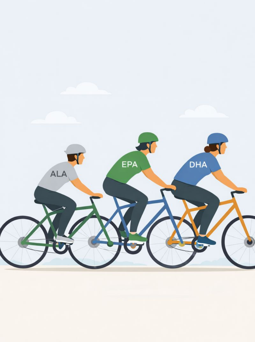 Illustratie van drie fietsers als metafoor voor omega 3: ALA fietst mee, EPA en DHA leiden